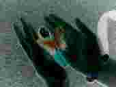 profile.jpg