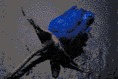 profile5.gif